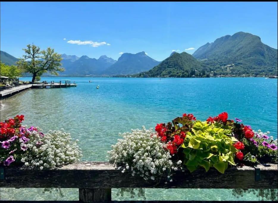 Appartement La Perle Du 3* - Vue Annecy